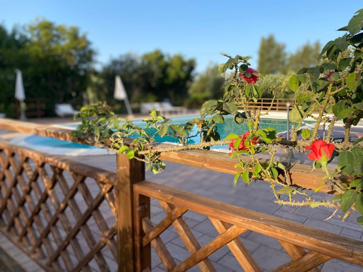 Agriturismo Le Giare Bagno Roselle Экстерьер фото