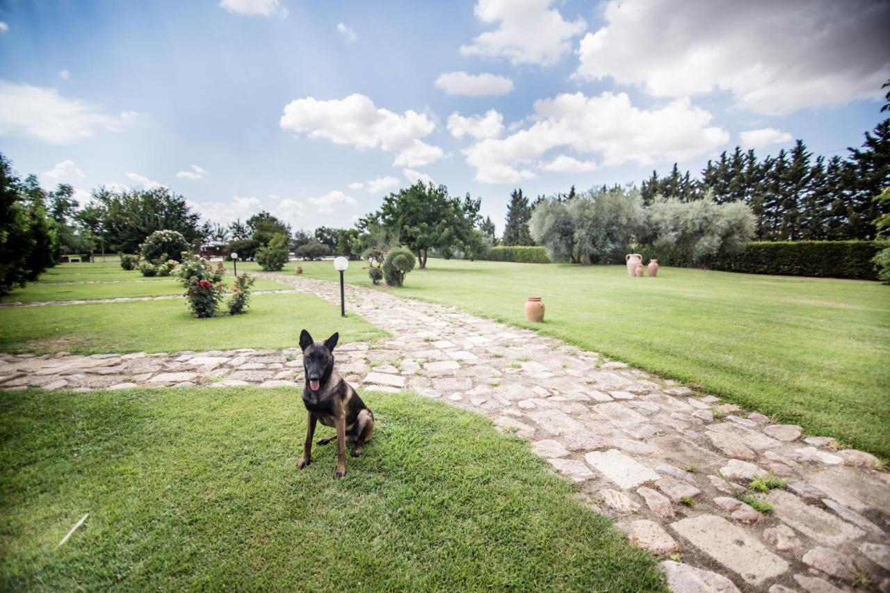 Agriturismo Le Giare Bagno Roselle Экстерьер фото